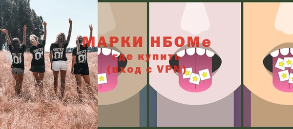 хмурый Новозыбков